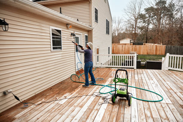 Best Affordable Pressure Washing  in Kalaheo, HI