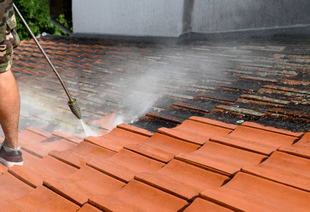 Best Pressure Washing Patio  in Kalaheo, HI